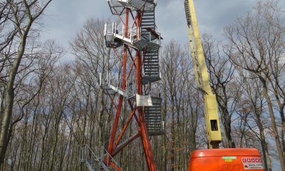 Rodigtturm in Nossen
