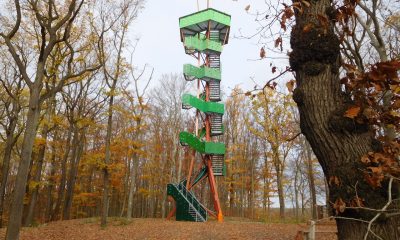 Rodigtturm in Nossen
